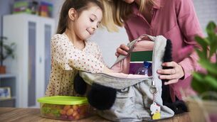 <p>"While we wish more than anything for our kids to be back in school, learning with their friends, getting on with their lives and their development, we are also trying to weigh this up against the desire to shield them from unnecessary danger." Picture stock.</p>