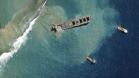 Dolphins die in Mauritius near Japanese ship’s oil spill