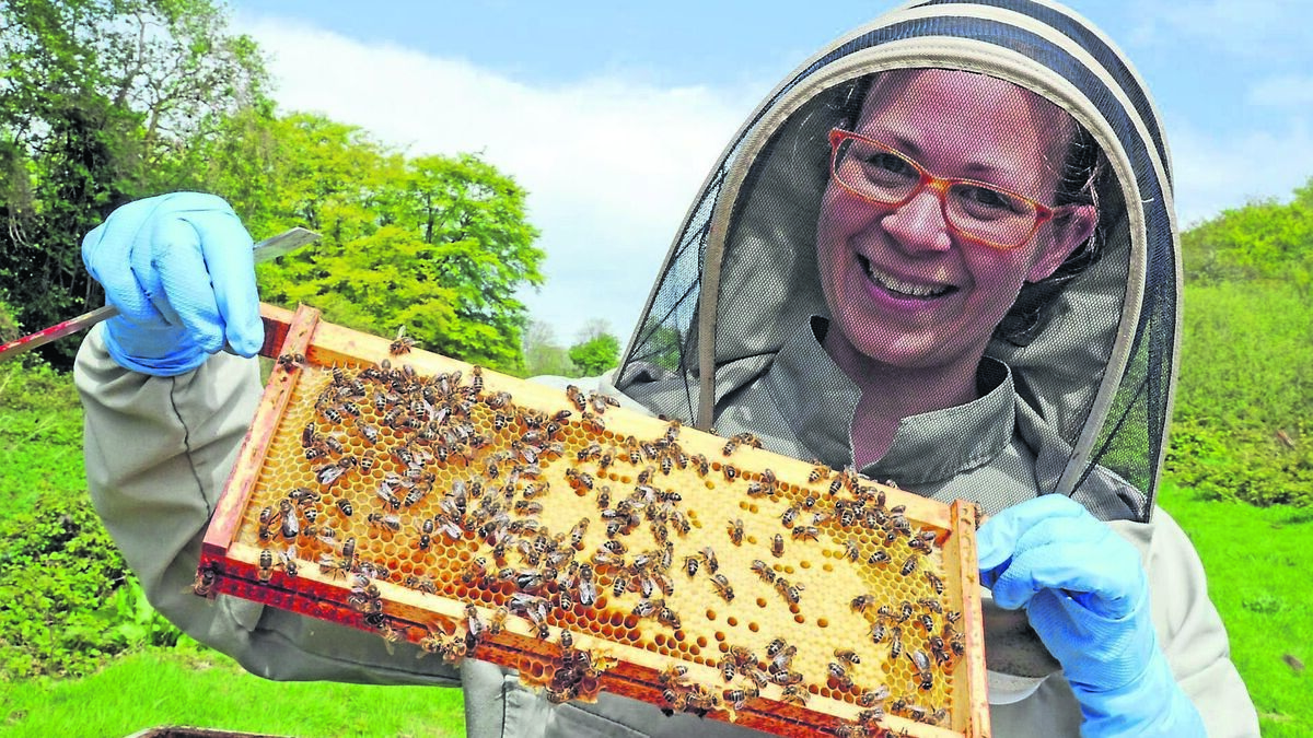 Dressmaker is now Cork’s queen bee
