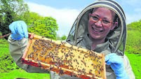 Dressmaker is now Cork’s queen bee