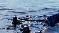 Mauritius Leaking Ship