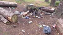 Popular Cork woods left trashed by campers