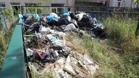 'Rats as big as cats': Illegally dumped rubbish leads to rodent infestation at Cork apartment complex