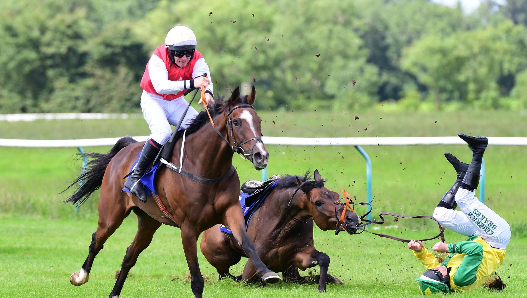 Cork racing Special horse has proved a charm for Doneraile trainer