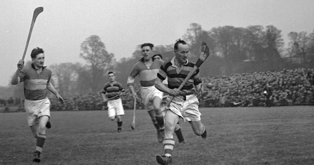 ITTI×MANOF  CRISTY RING Who was Christy Ring? The biography of the boy from Cloyne