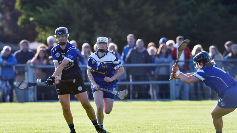 Cork camogie club draw: Champions Sarsfields will face Glen Rovers