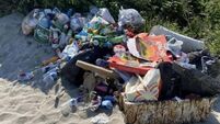 Litter warden urged to increase patrols at Ringaskiddy beaches following concerns