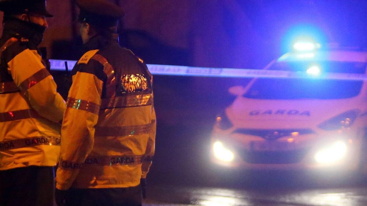 Gardaí open fire during two incidents in Cork city and Fermoy