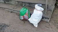 Littering our beauty spots: 'The bottles and cans being left behind epitomizes our society today'