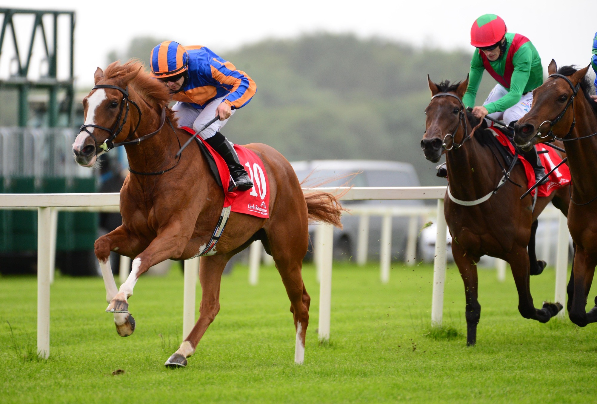 Cork racing: Wayne Lordan on form while Walsh and O'Regan also ride winners