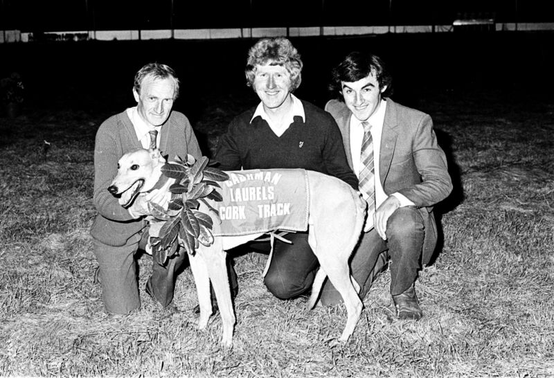 Greyhound Racing, Laurels Final at Cork Track in 1982. 
