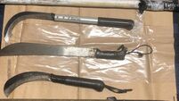 Slash hooks and machete among weapons seized in raid at Cork city house