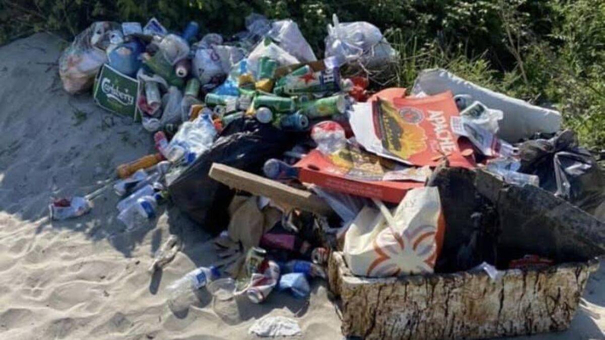 Litter warden urged to increase patrols at Ringaskiddy beaches following concerns