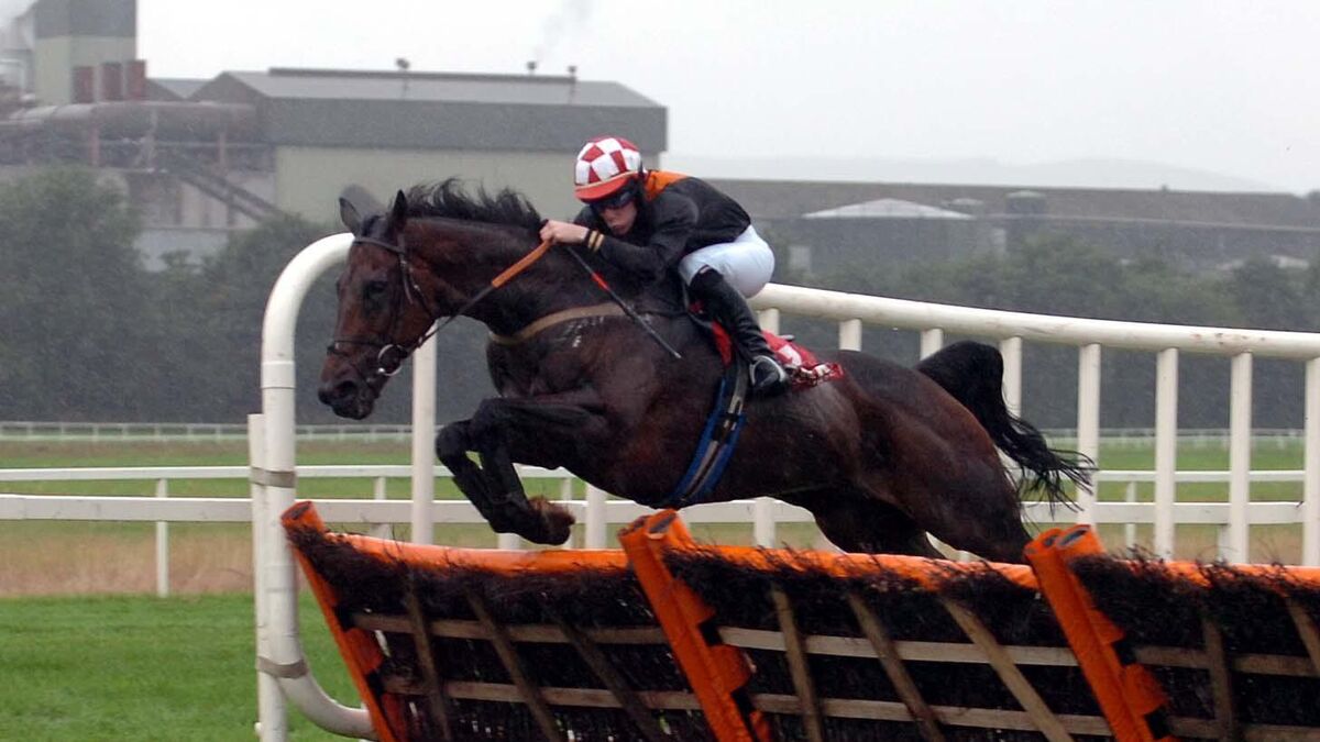 Double figures in group one races Down Under for Cork jockey Johnny Allen