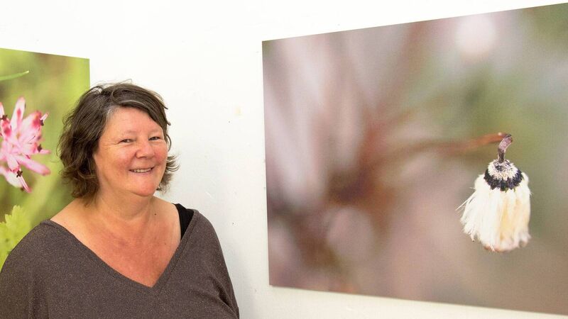 Artist's ambitious goal to raise €10,000 for Cork Penny Dinners