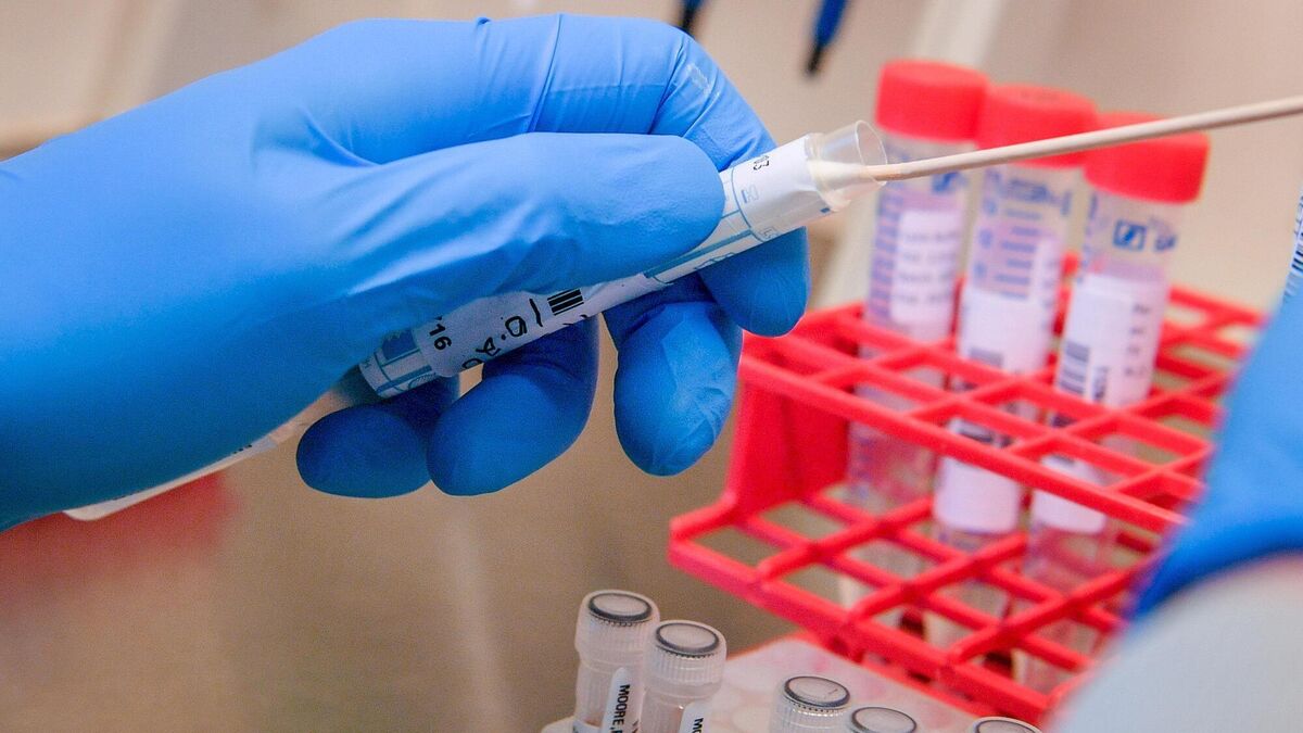 Cork GP 'concerned' about new Covid-19 cases; 77% of new positive tests in under-25 age group
