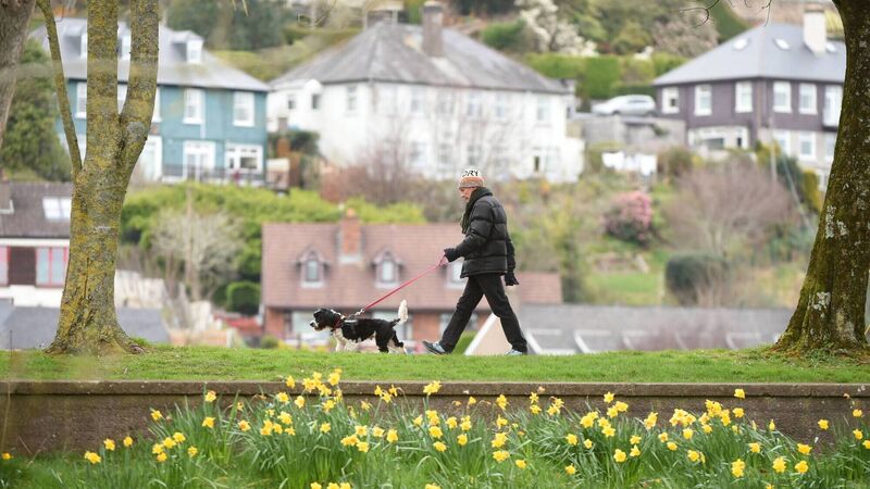 'The word is not getting through': Cork barrister infected with Covid-19 warns against social distancing complacency 'The word is not getting through': Cork barrister infected with Covid-19 warns against social distancing complacency