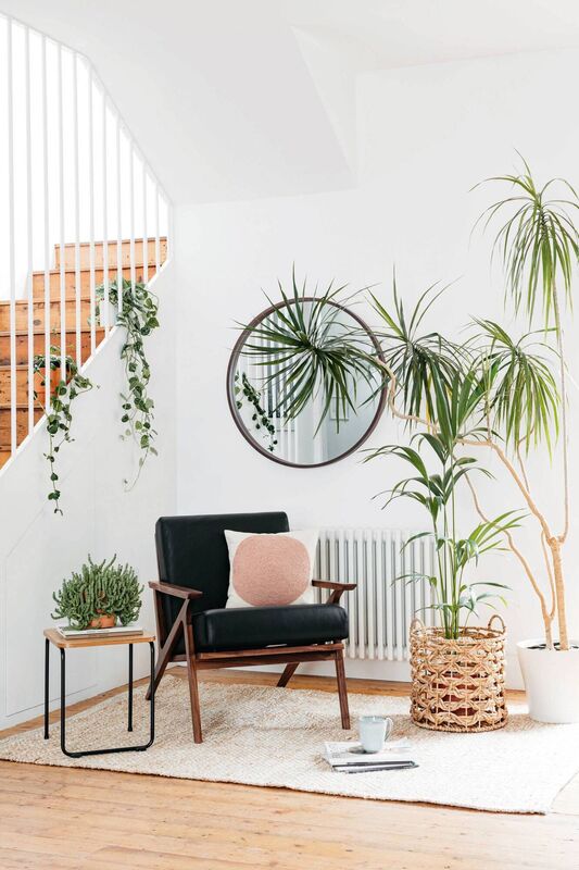 Introduce more nature, by upping the greenery in the room. 