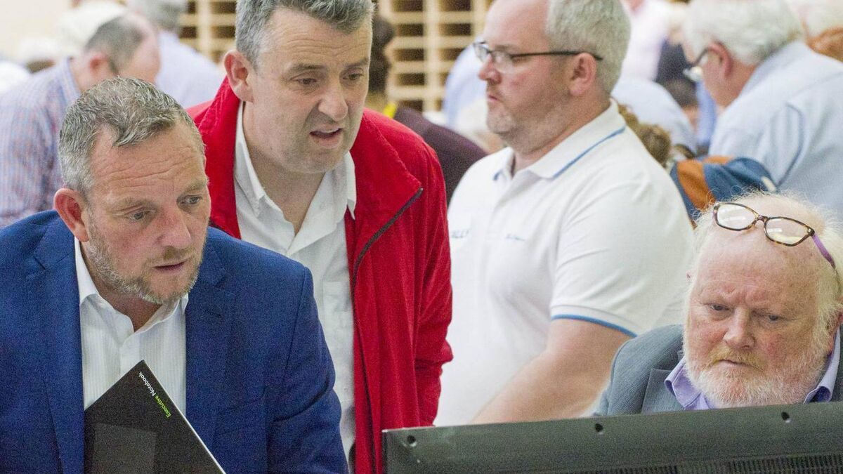 Jerry Buttimer: FG has critical role to play in new government