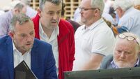 Jerry Buttimer: FG has critical role to play in new government