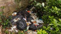 25% increase in illegal dumping in the city
