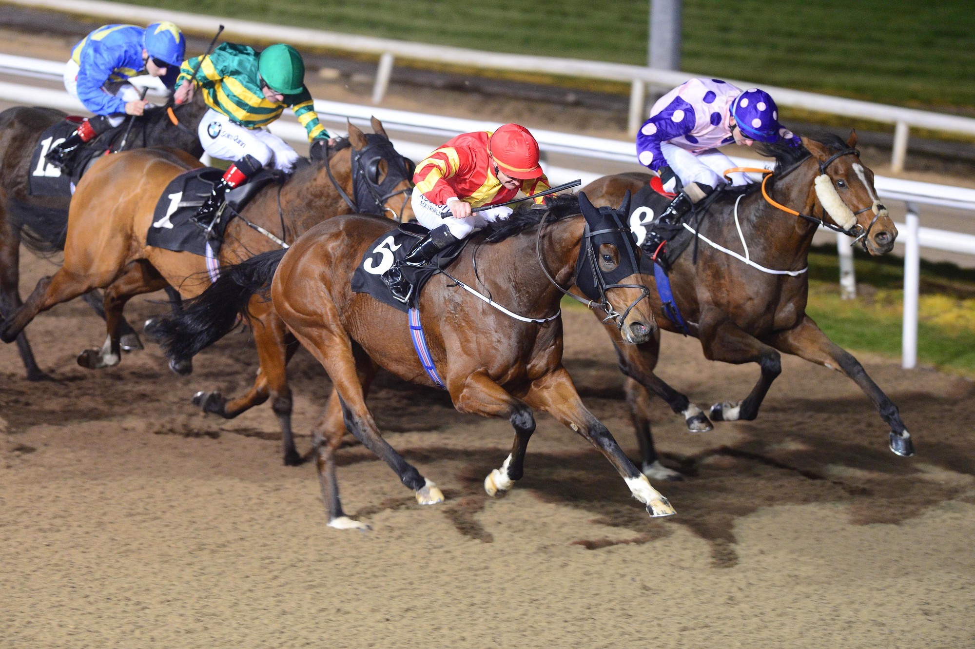 We Sold A Lovely Horse Shared Ambition Who Has Won Six Races In Australia And Is Joint Favourite For The Melbourne Cup