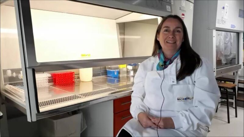 Cork colleges at forefront of developing key chemical needed for Covid-19 testing