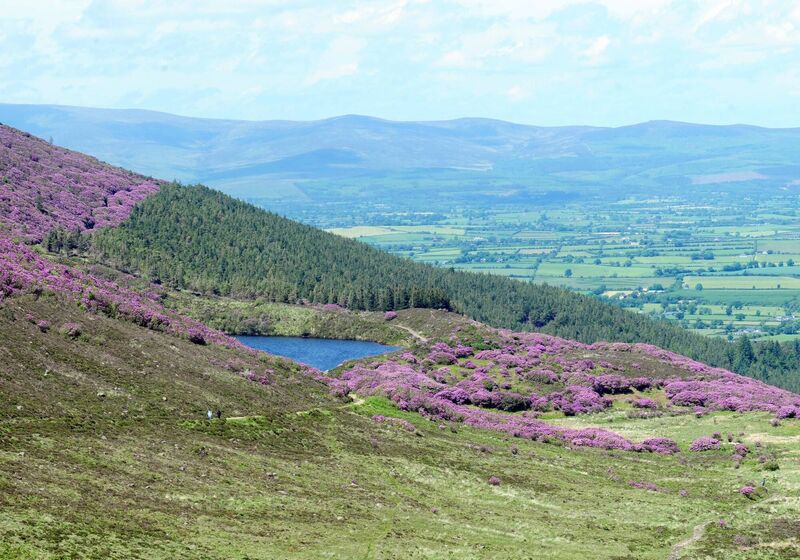 The beautiful scenery at the Vee in the Knockmealdown Mountains. The Knockmealdown is 794 metres high. Picture: Denis Minihane.