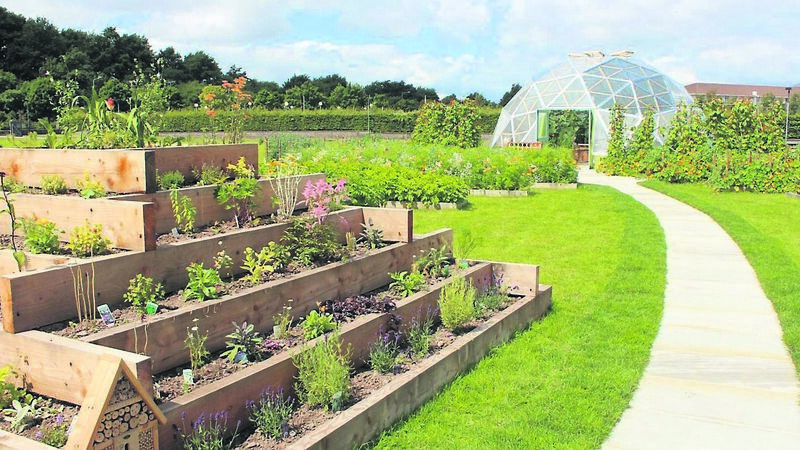 Voxpro introduce green initiatives at Cork plant