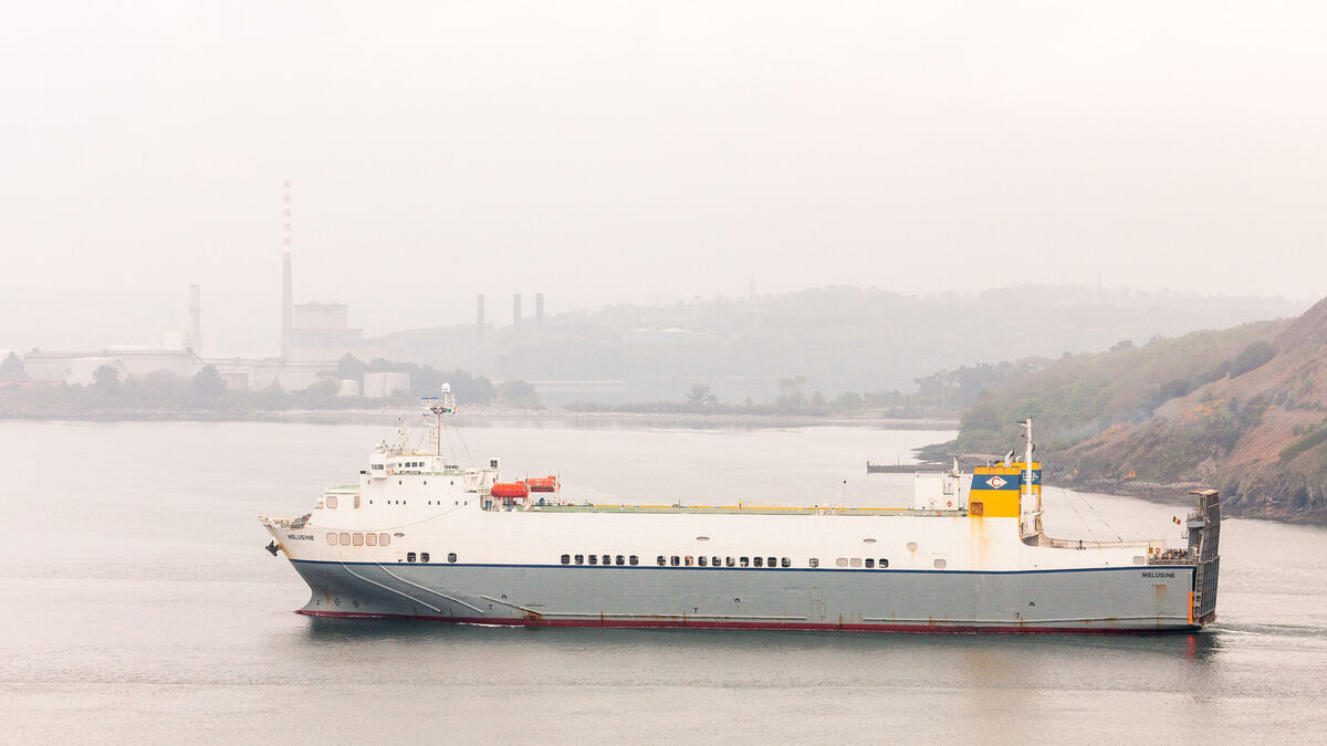First ship arrives into Cork Harbour under new efforts to keep supply chains open during pandemic