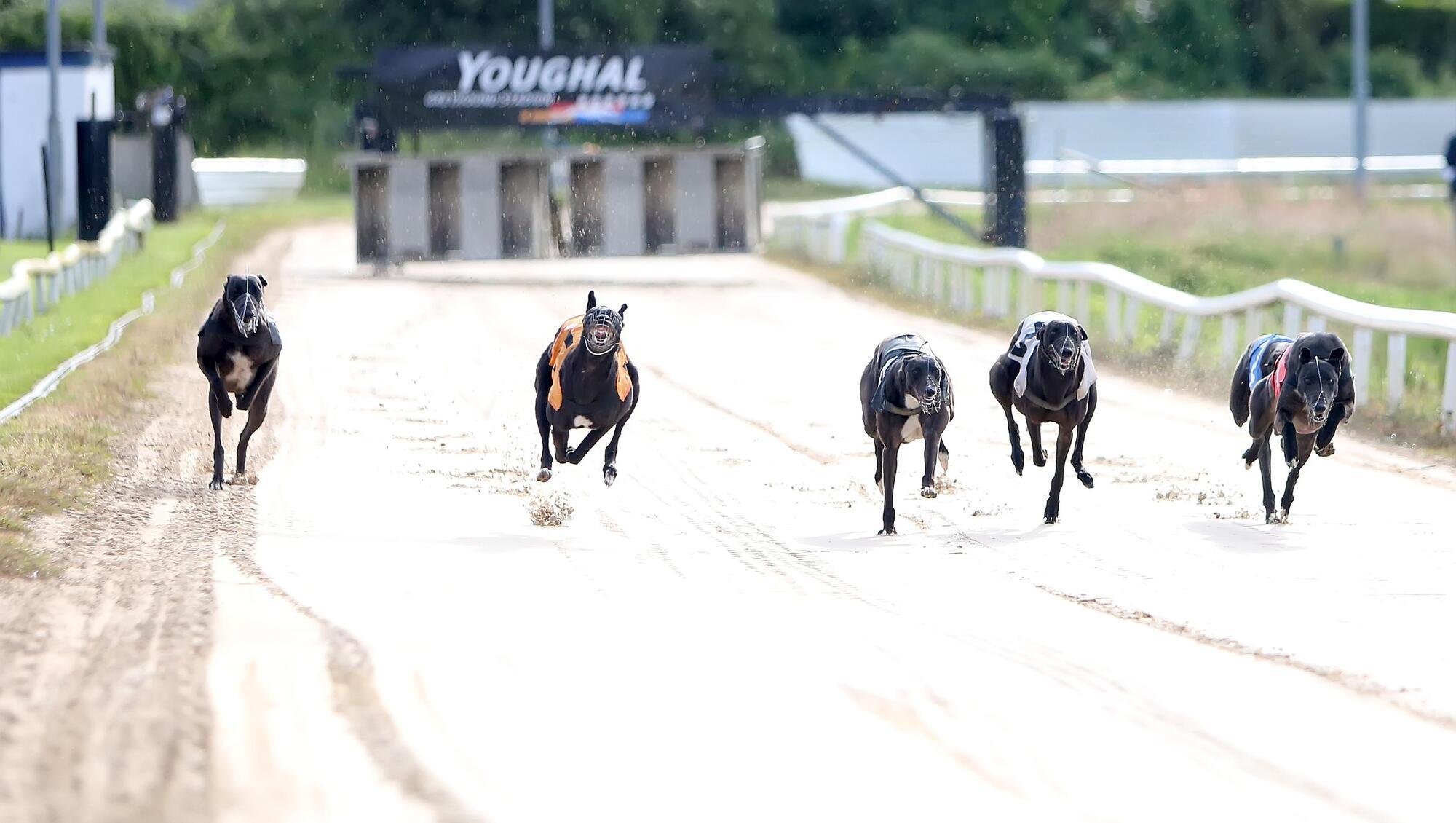 Golden Opportunity To Secure The Future Of Youghal Greyhound Stadium