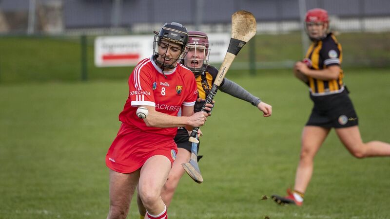 Inniscarra club man is bringing a fresh approach to Cork camogie set-up