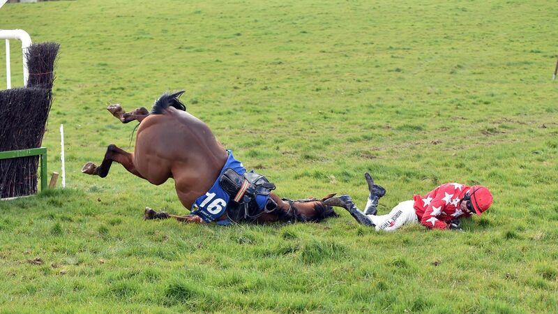 Point to point racing in Cork is on hold with the season now in doubt Point to point racing in Cork is on hold with the season now in doubt