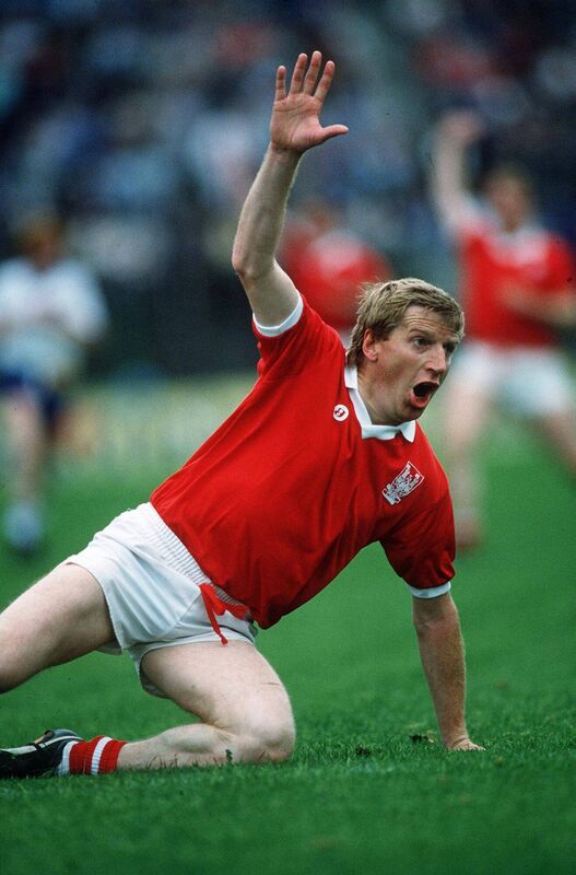 Dinny Allen of Cork arguing a decision at Croke Park. Picture: INPHO/Billy Stickland Dinny Allen of Cork arguing a decision at Croke Park. Picture: INPHO/Billy Stickland