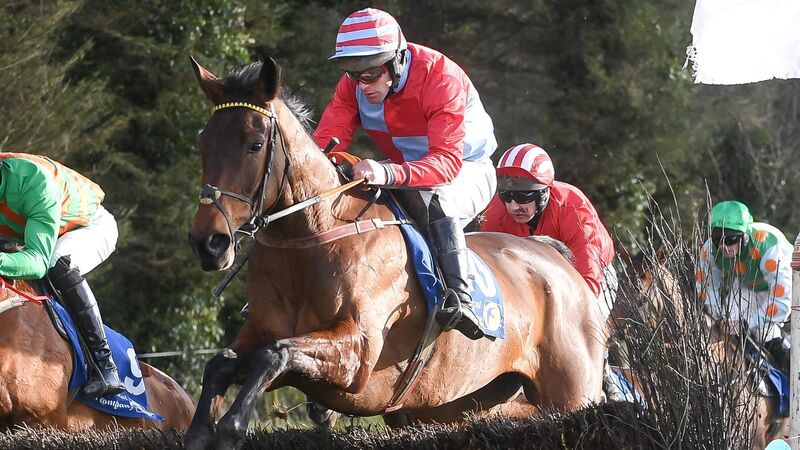 You'd miss the craic as much as racing says point to point veteran Hannon You'd miss the craic as much as racing says point to point veteran Hannon