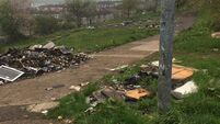'A constant issue': Call for action as Tarry Path hit by more illegal dumping