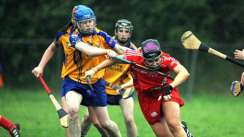 Cork camogie dream team: Our shortlist for the goalie and back six positions Cork camogie dream team: Our shortlist for the goalie and back six positions