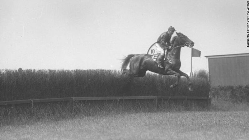 Dead jockey wins race