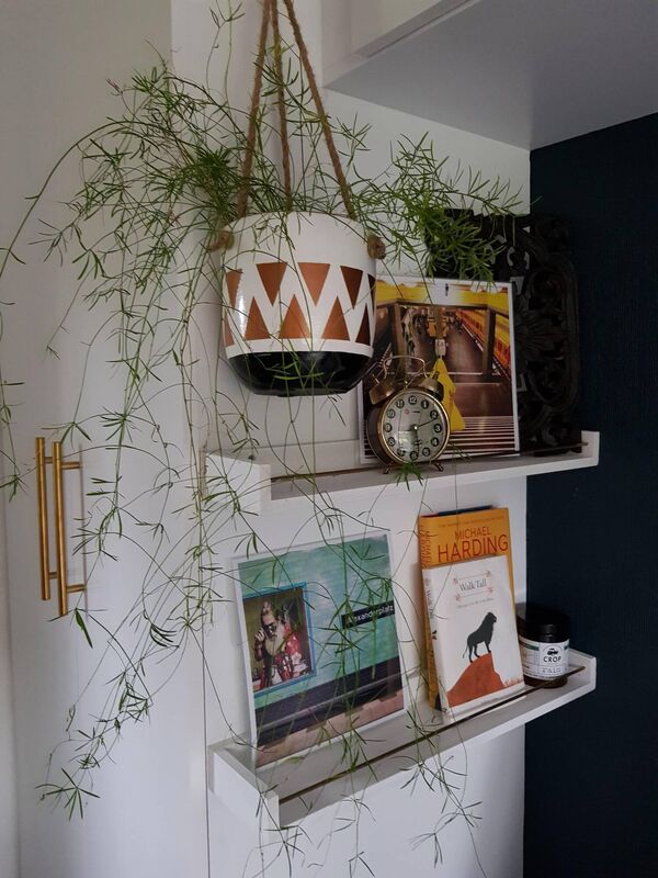 Shelving in the tiny home. Shelving in the tiny home.