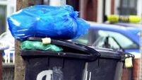 File Photo Bin charges treble for customers as companies accused of operating a cartel. MINISTER FOR THE Environment will bring