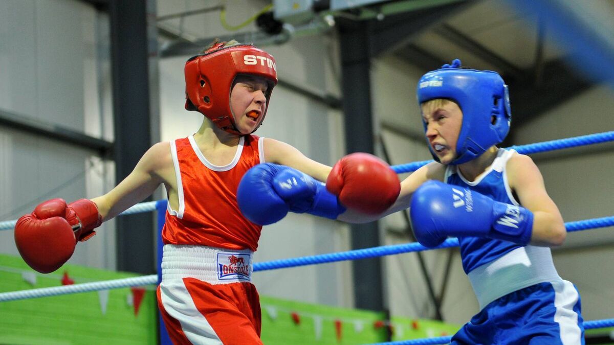 City Hall to host international boxing tournaments in 2020