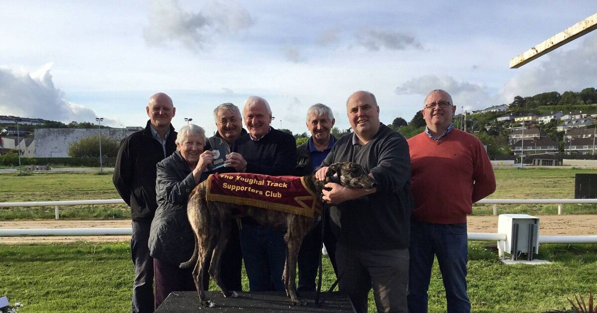 Cork greyhound supporters in shock over closure of Youghal track