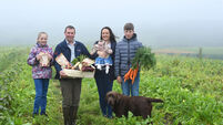 Tips for shopping local this Christmas ... whatever your budget