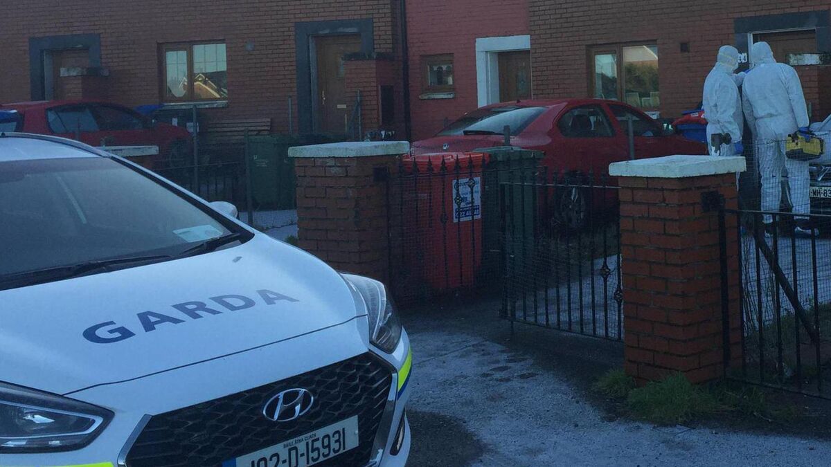 Gardaí asking for public’s help following brutal Mayfield attack