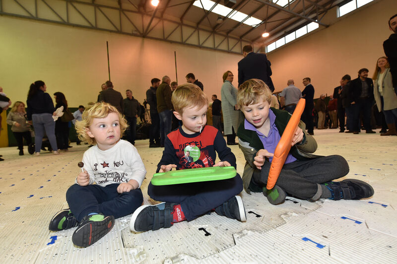 Doing their own count were Ryan and Killan Carty, Little Island and Fionn Robertson, Crookstown. Picture Dan Linehan