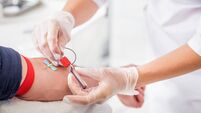 General practitioner doing blood test