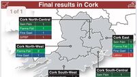 GE2020: This is everyone who has been elected in Cork