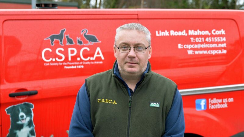 Dogs in Cork have been burnt and hung but reports of animal cruelty are declining