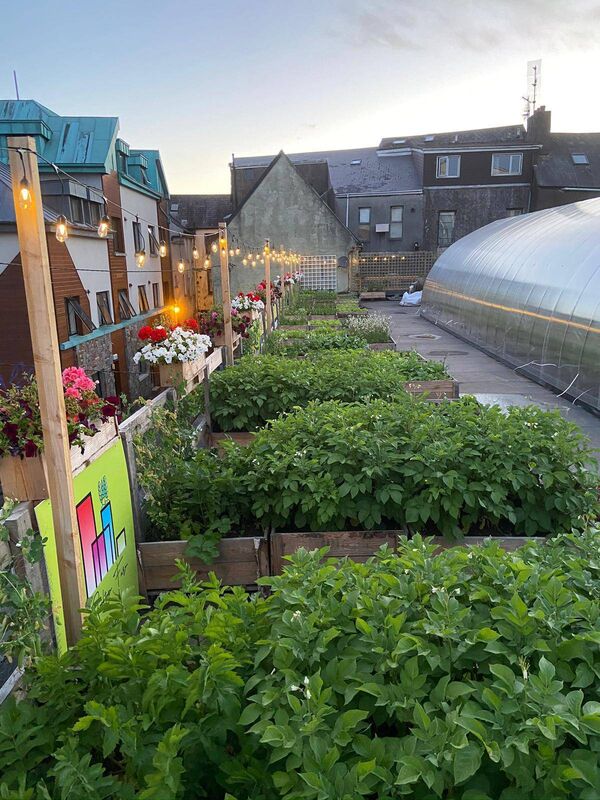Cork Rooftop Farm. Cork Rooftop Farm.