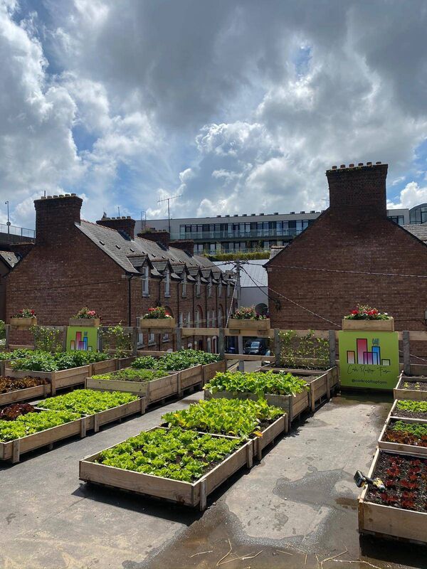Beds visible on Cork Rooftop Farm. Beds visible on Cork Rooftop Farm.